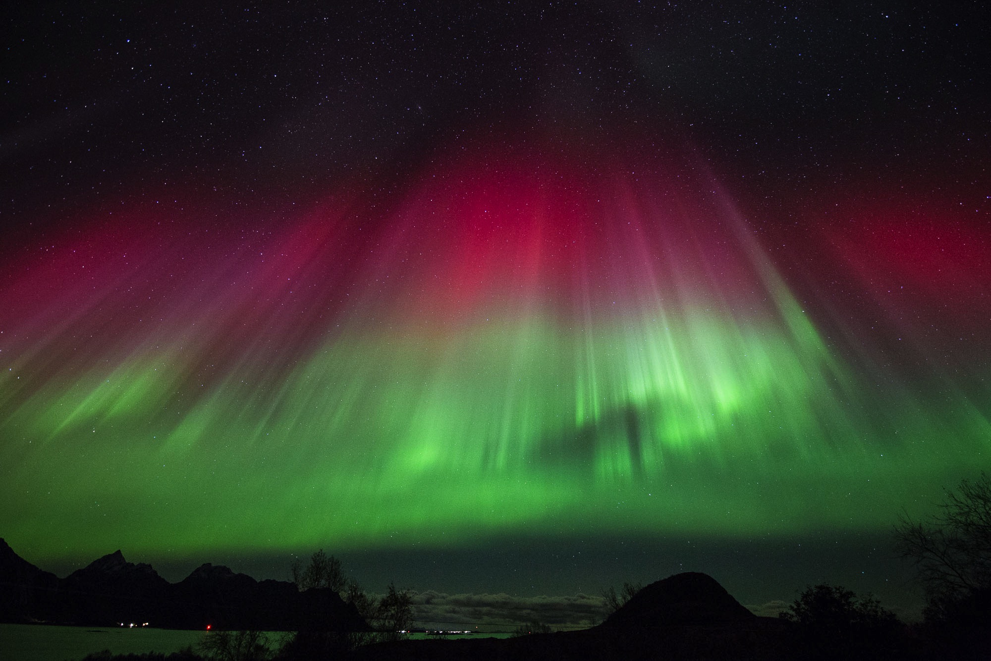 northern lights, aurora borealis, lofoten